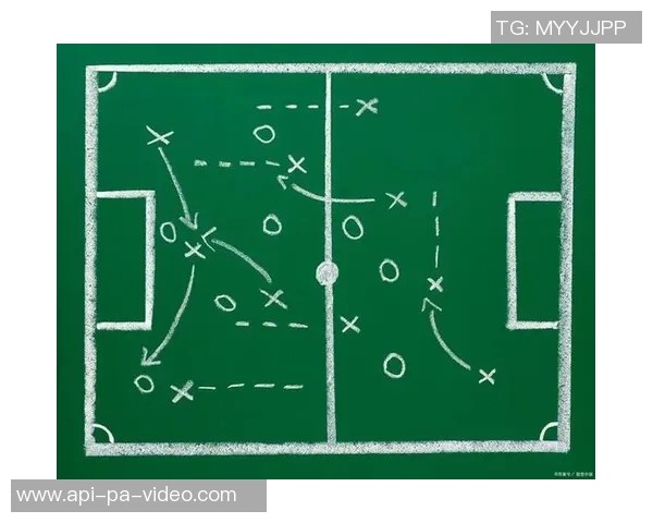 足球流派的多样性探讨与战术演变分析